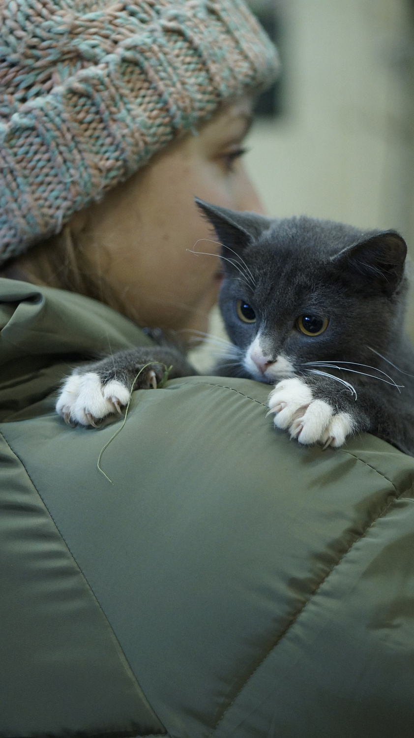 Ниссан клуб навестил животных из приюта